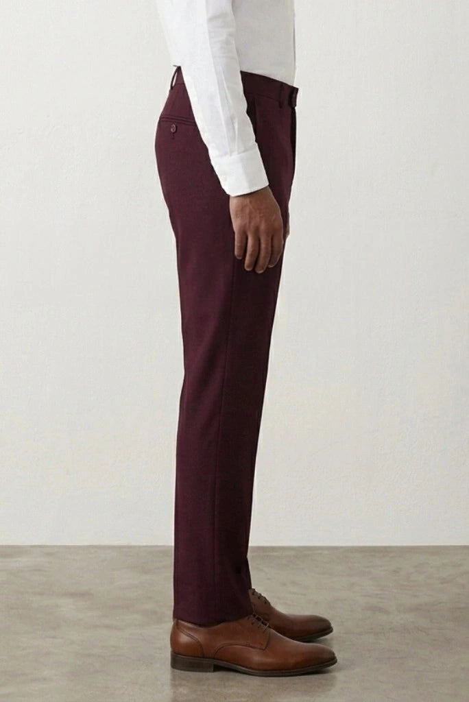 Men Burgundy Regular Fit Trouser-Side