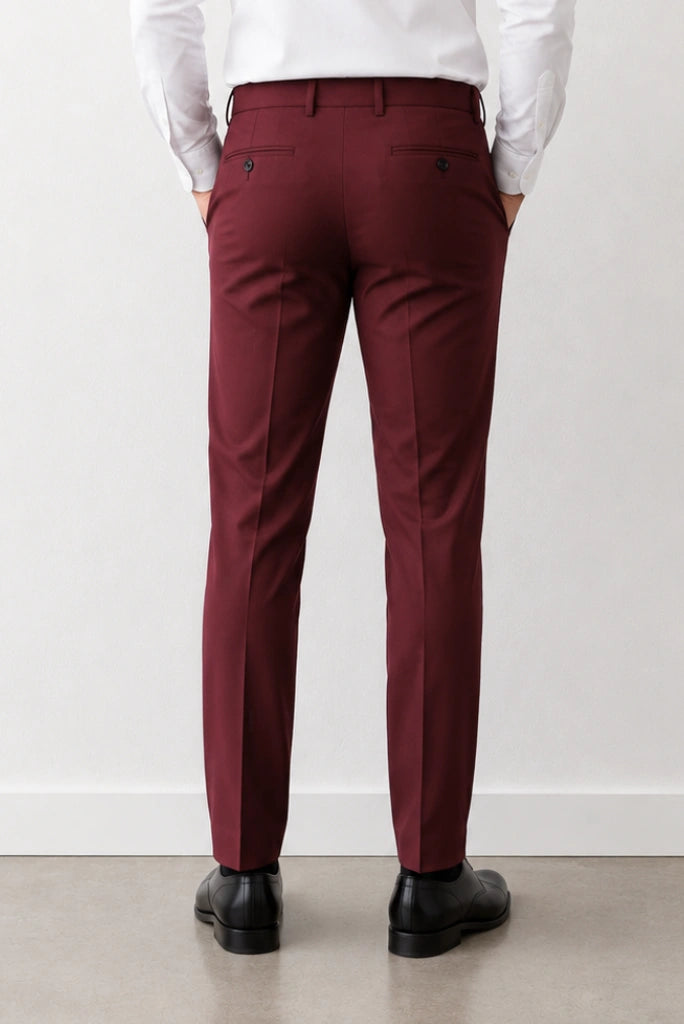 Men Maroon Business Wear Pant-Back